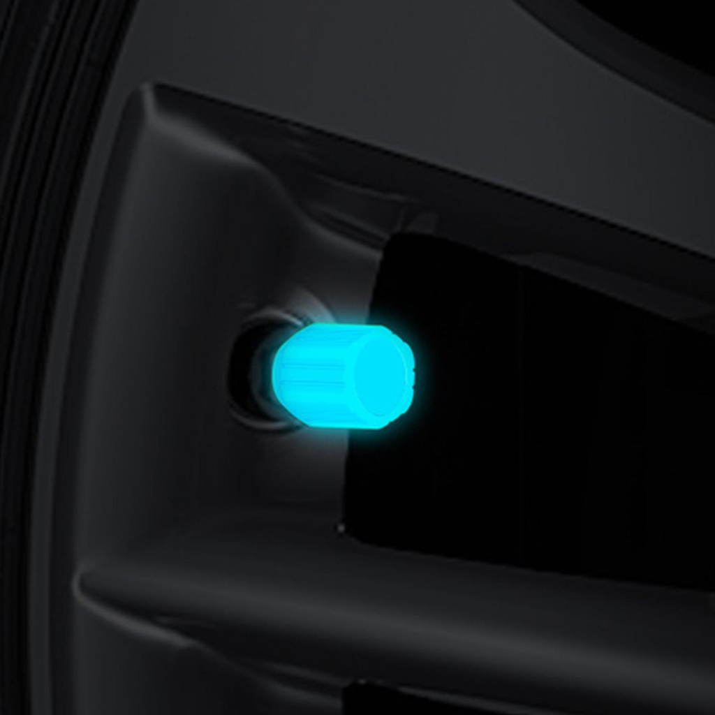 Bộ 4 Nắp Van Lốp Xe Hơi / Xe Máy Điện Màu Dạ Quang Thông Dụng