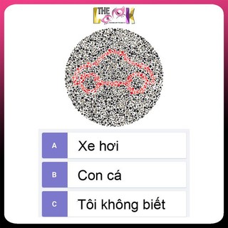 [HOẢ TỐC HCM] KÍNH ÁP TRÒNG MÙ MÀU