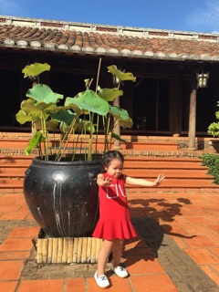 Thanh lý mẹ và bé đuôi cá