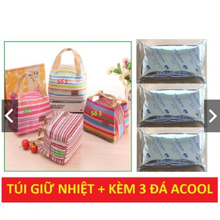 Túi giữ nhiệt kẻ ngang + 3 đá khô