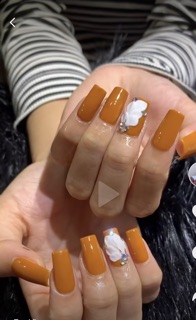 Móng tay giả nail thiết kế bộ 24móng