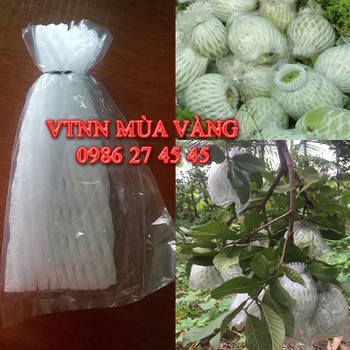 Bao bóng  BỌC bao trái ổi có đục đáy ngang 15 x dài 20 cm 1kg 45k dùng cho 2kg xốp ỔI