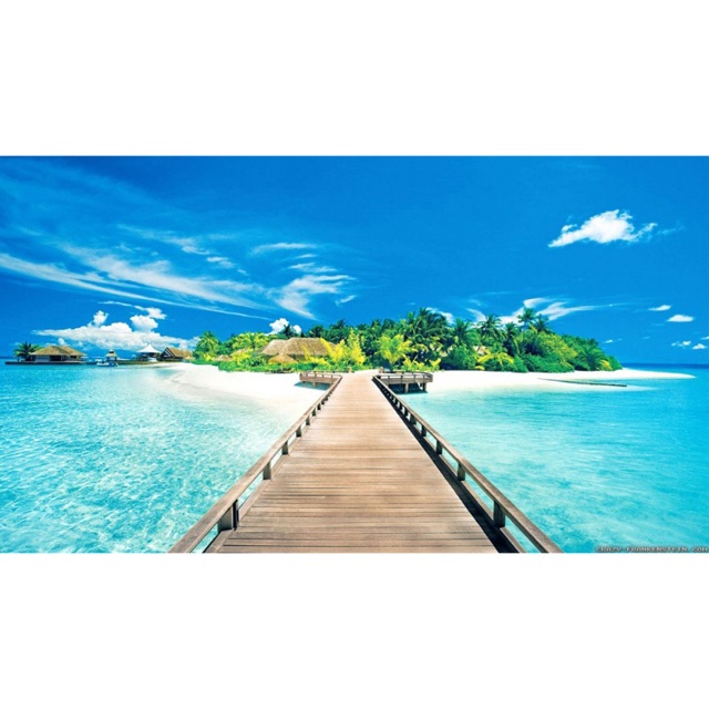 Phụ Kiện + Quang, Cửa hàng trực tuyến | BigBuy360 - bigbuy360.vn