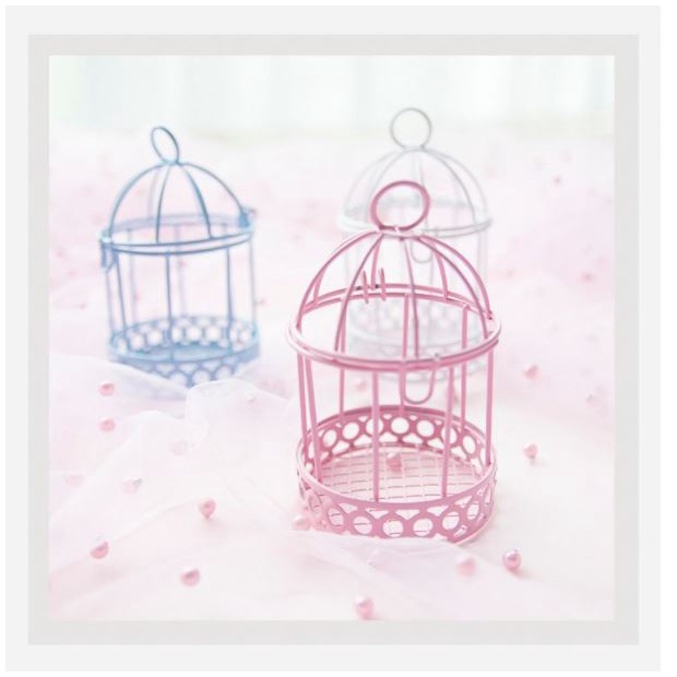 ⚡Có sẵn⚡Mô hình lồng chim mini trắng/ hồng xanh làm phụ kiện chụp ảnh sản phẩm, chụp nail, decor, trang trí phòng