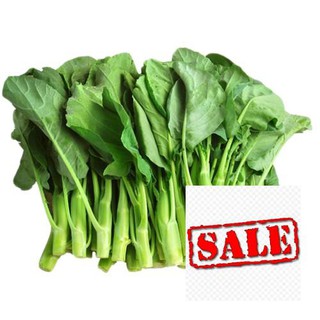 5gr hạt giống cải làn hoa vàng SALE