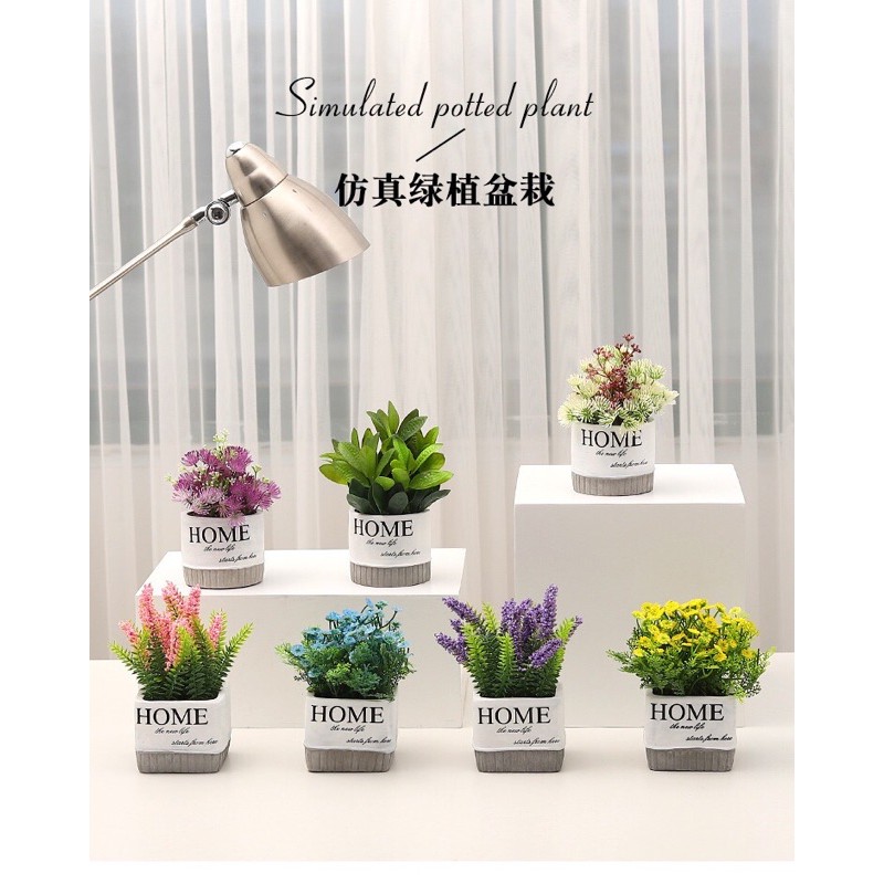 CHẬU HOME TRANG TRÍ ĐỂ BÀN