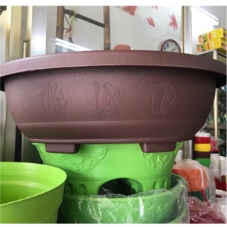Chậu nhựa trồng bonsai dáng oval 36cm