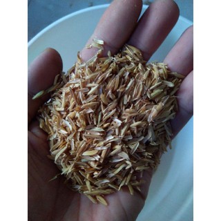 10kg Vỏ trấu sạch hạt to