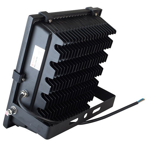 Đèn LED chiếu pha Rạng Đông DCP06/20W - D CP06L 10W