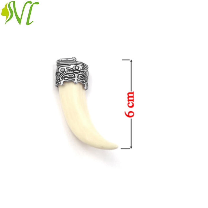 Mặt dây chuyền nanh giả  người đẹp vì lụa  đầu titan xịn xò sài nước tốt  sài nước không đen dị ứng