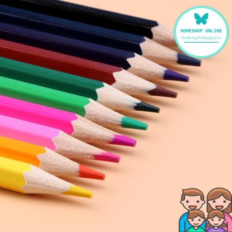 Combo sỉ 12 vỉ 12 bút chì màu hộp 12 bút chì tô màu thân gỗ, sỉ 12 bút màu NGU02252011 HOME SHOP ONLINE