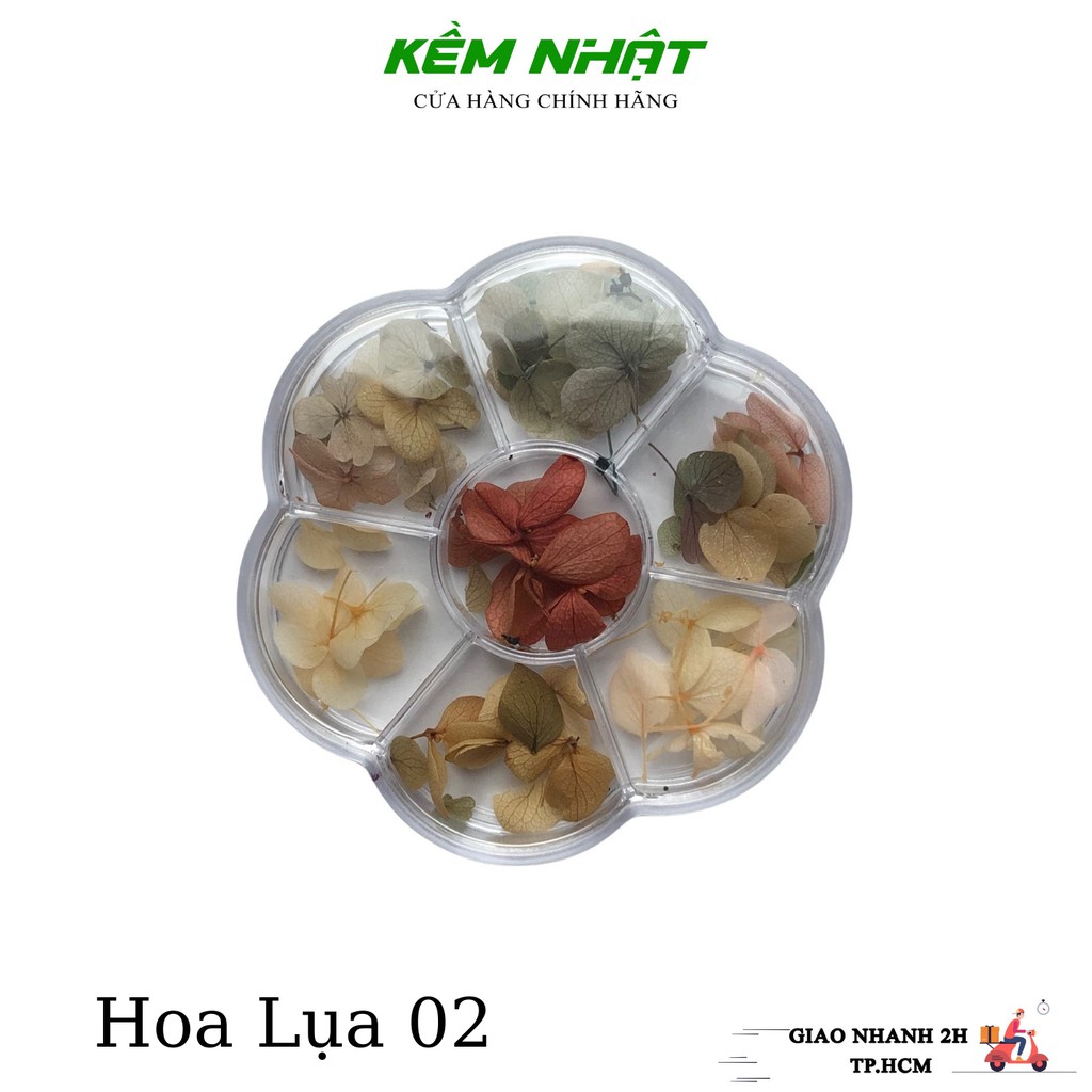 Hoa Khô - Hoa Lụa Trang Trí Móng Cánh To