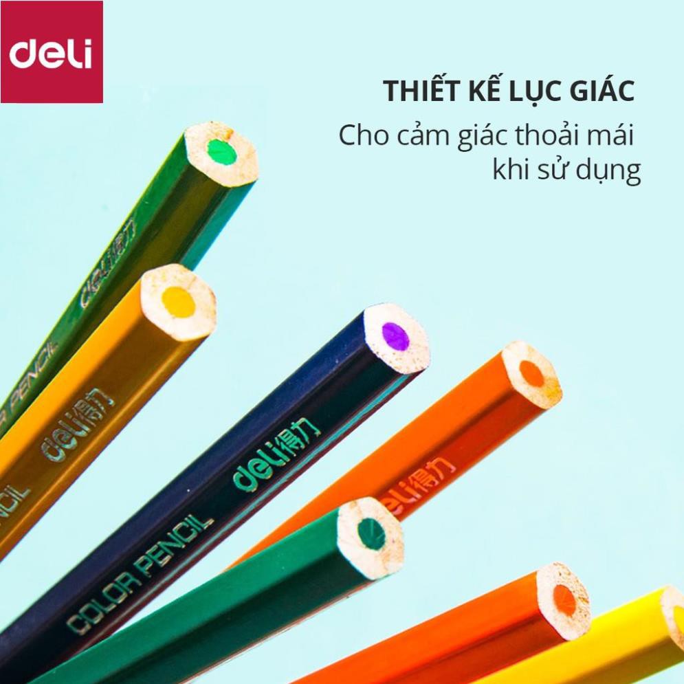 Bút chì màu chuyên nghiệp dạng cốc Deli 24/36/48 màu - 68123/68124/68125 [Deli]