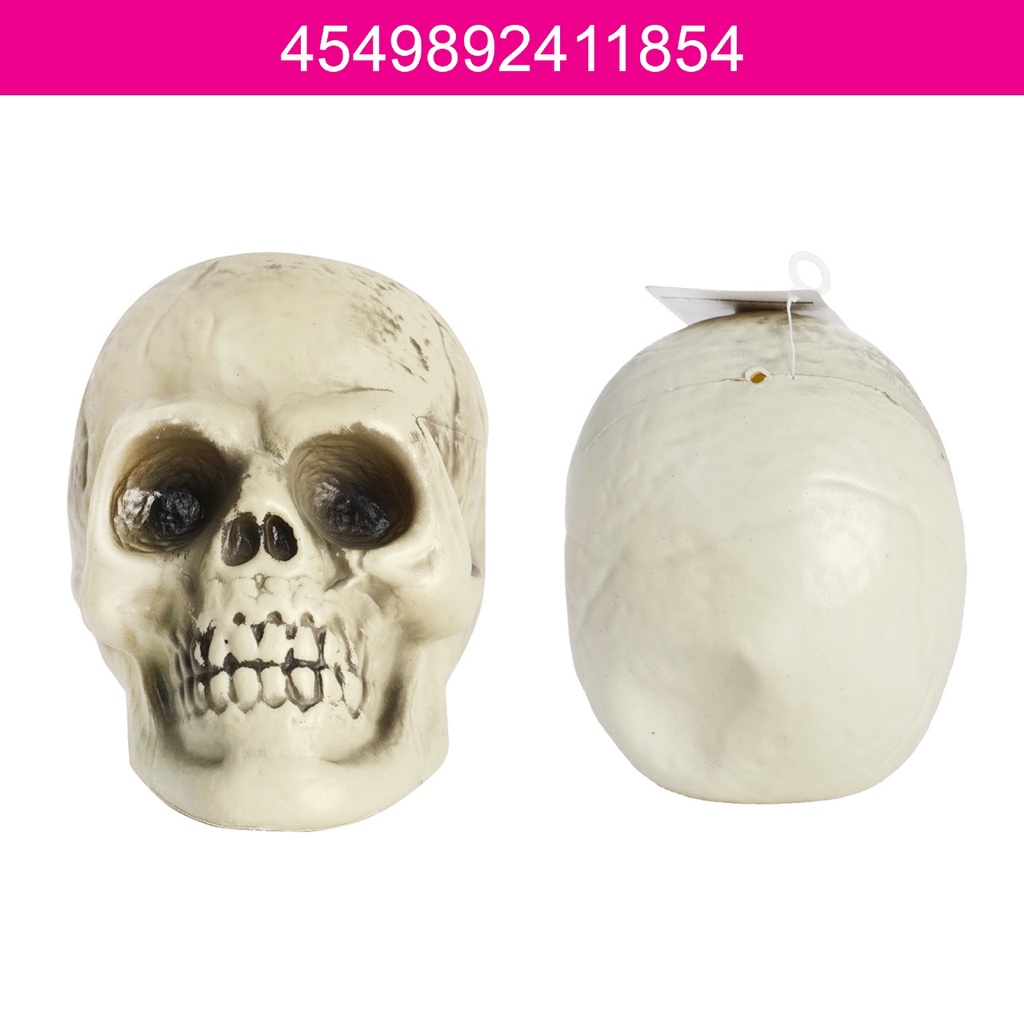 Daiso Halloween Đạo cụ hoá trang hình hộp sọ trắng