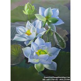 tranh đính đá hoa sen siêu đẹp