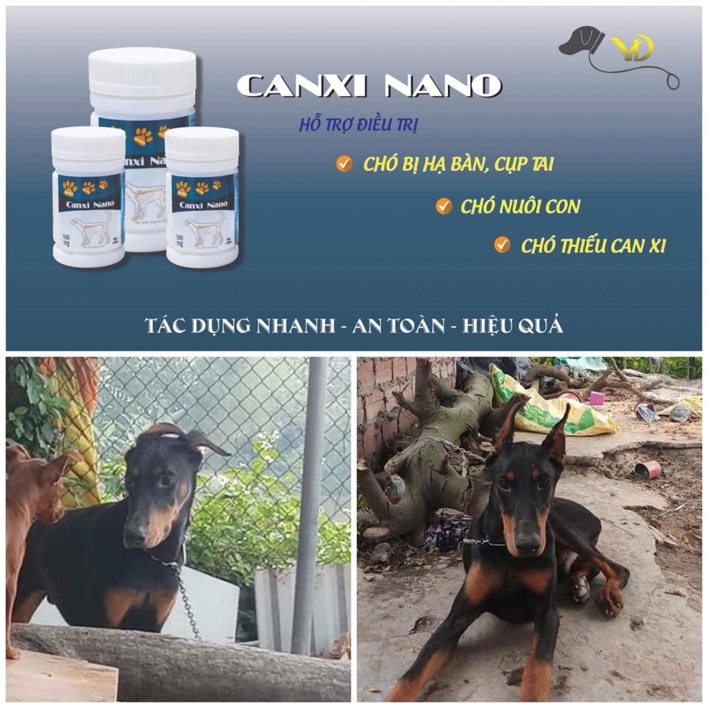 Canxi Nano cho chó mèo 150v