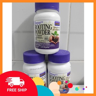 Rooting Powder dạng bột siêu kích rể từ Mỹ (ươm kie lan, triết cành, chống khuẩn) - lọ 35g