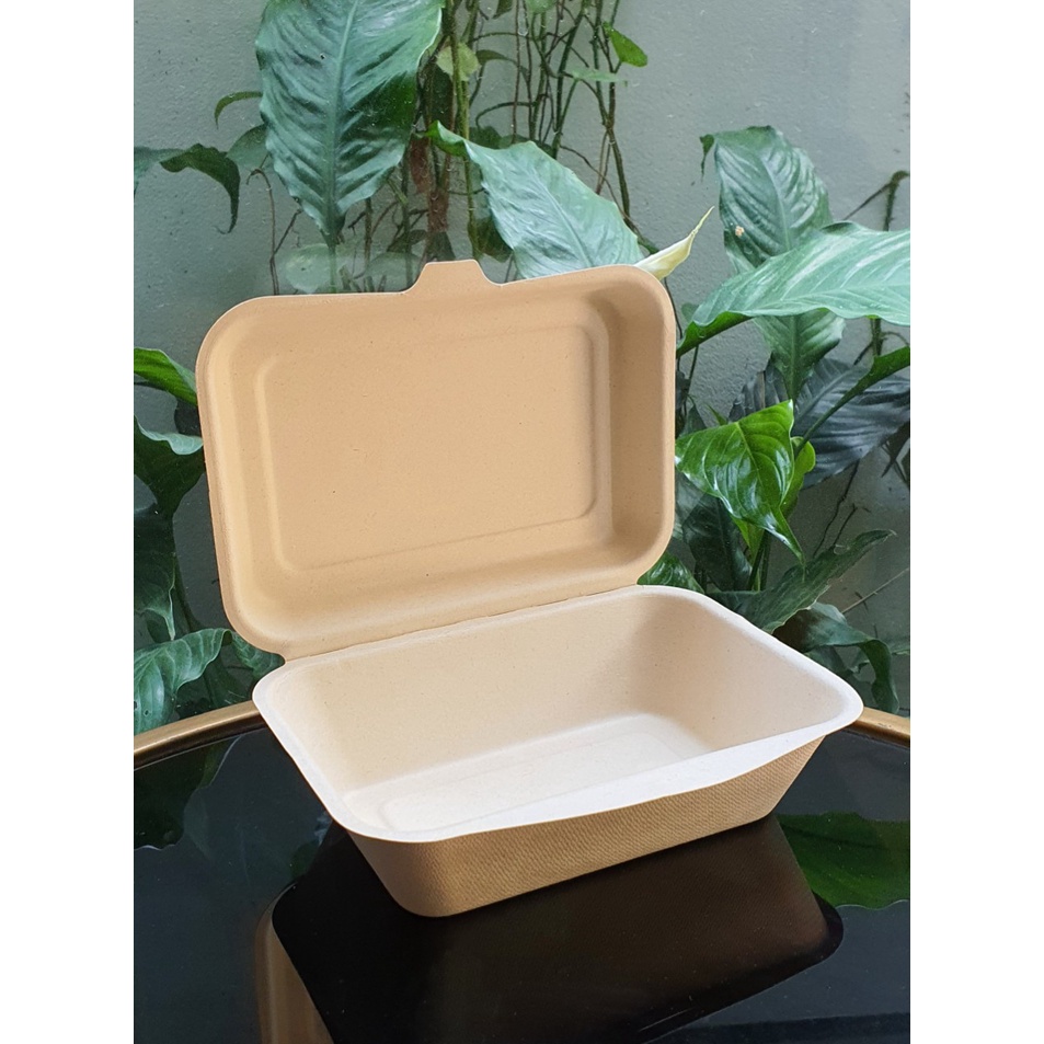 50 Hộp bã mía  600ml