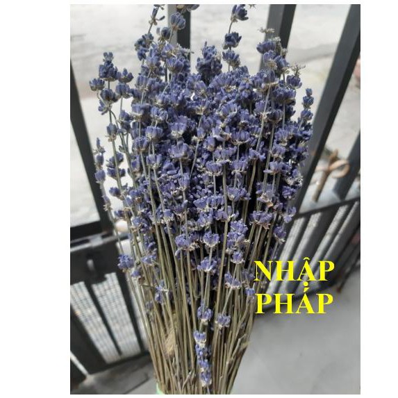 Hoa khô lavender  -  tặng kèm túi thơm