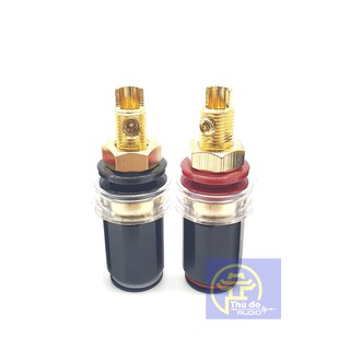 [Mã ELHACE giảm 4% đơn 300K] 02 Cọc loa lớn ( loại xịn) mạ vàng 24k cao cấp