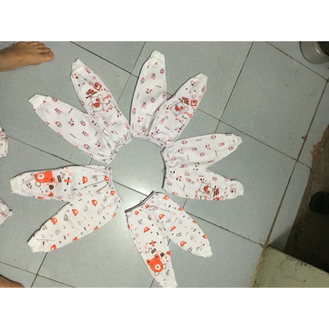 Combo sỉ  quần nỉ bông
