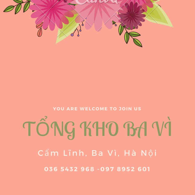 TỔNG KHO BA VÌ
