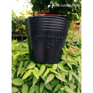 Chậu nhựa đen C6