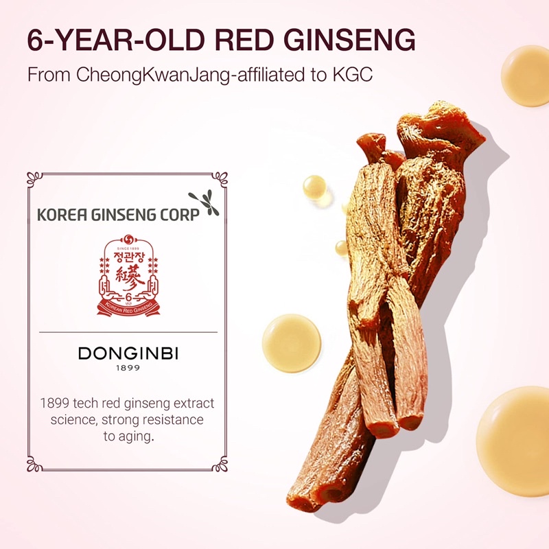 Bộ dưỡng da Donginbi Red Ginseng Perfect Set (tinh chất hồng sâm + phấn nước)