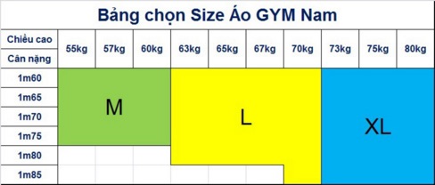 Áo gym nam ASRV