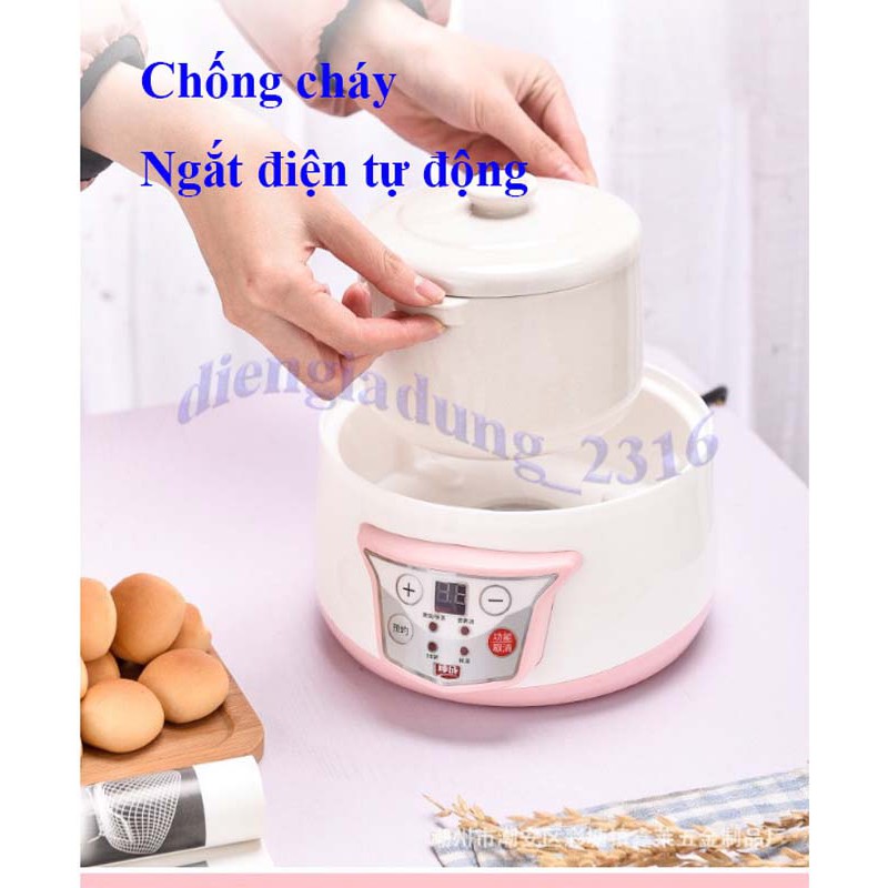 Nồi nấu cháo chậm, Nấu cháo trẻ em, hầm, nấu súp, các món hấp _ tặng kèm vỉ hấp