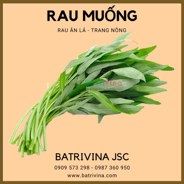 Gói 100gr Rau muống Trang Nông chất lượng