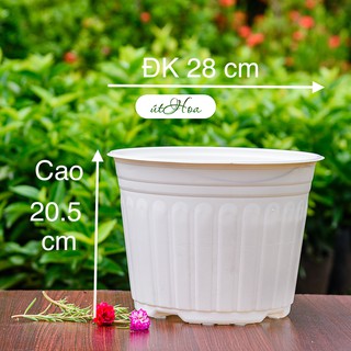 [ Sỉ từ 20 cái] Chậu nhựa Trắng T28 (28x20.5 cm) trồng cây, trồng hoa Nhựa cao cấp