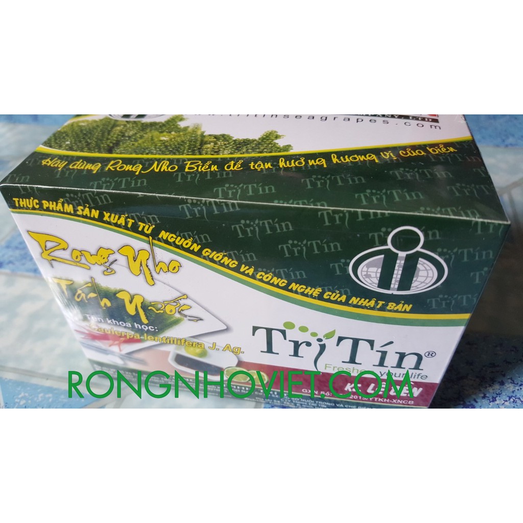 [FREESHIP 99K TOÀN QUỐC]Rong Nho Khô Trí Tín Hộp 200 gr | BigBuy360 - bigbuy360.vn