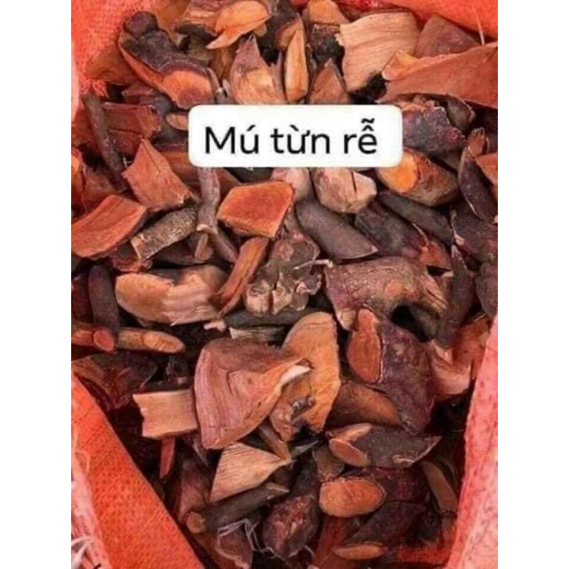 Rễ cây Mú Từn