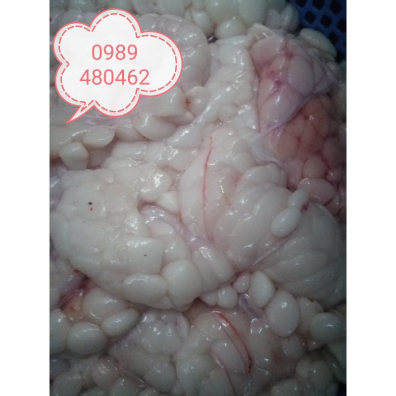 0.5 ký mỡ trăn tươi nguyên chất | BigBuy360 - bigbuy360.vn