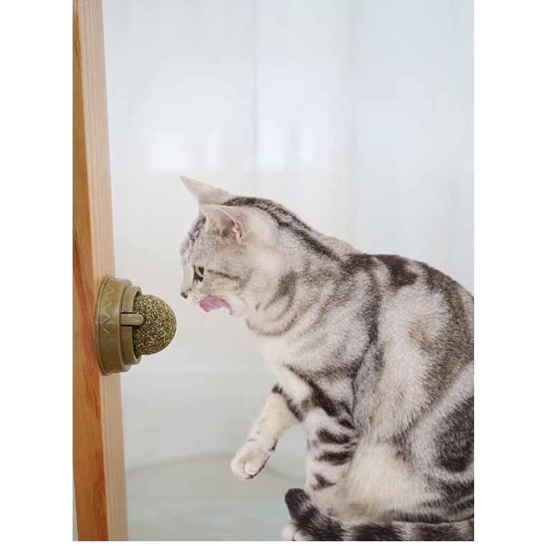 Quả Bóng catnip Xoay Cho Mèo