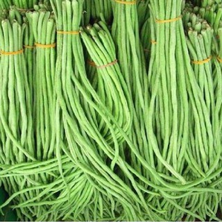 Hạt giống ĐẬU ĐŨA ( Hạt đen) 50g