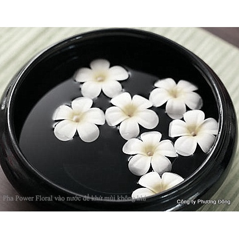 Nước Lau Sàn Nhà Diệt Khuẩn Khử Hết Mùi Bệnh Viện Power Floral-5L