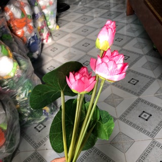 Sen nhỏ (vải lụa)