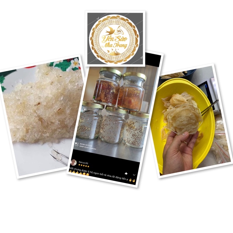 100g tổ yến tinh chế siêu già vàng cam_yến sào nha trang +quà. hồng yến nha trang