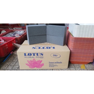 Xốp khô cắm hoa khô