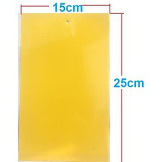 COMBO 10 MIẾNG BẪY DÍNH CÔN TRÙNG màu vàng