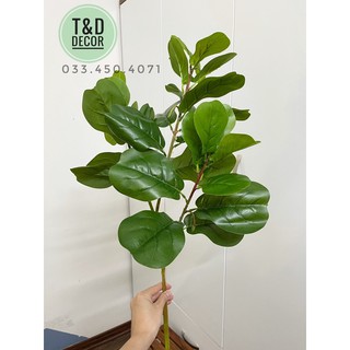 Cây bàng singapore 70cm (cây giả)