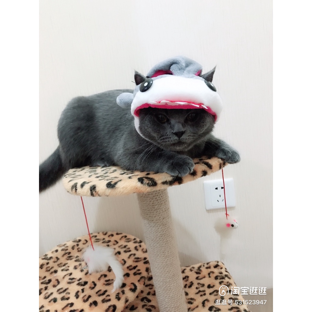 Mũ cho chó mèo dễ thương đủ kích thước từ 1kg tới 15kg