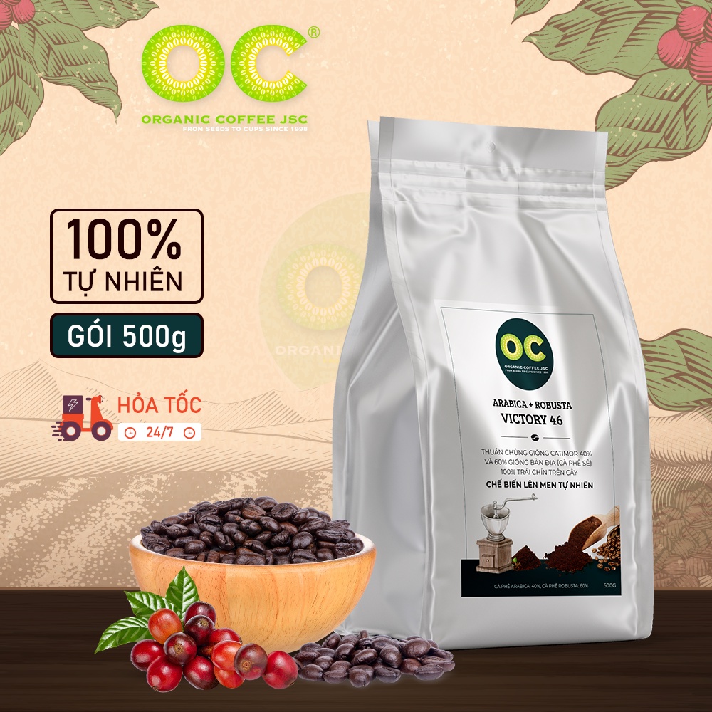 Cà phê rang mộc hữu cơ nguyên chất Robusta Blend VICTORIA 46, Cafe pha phin/pha máy nguyên chất từ Organic Coffee JS