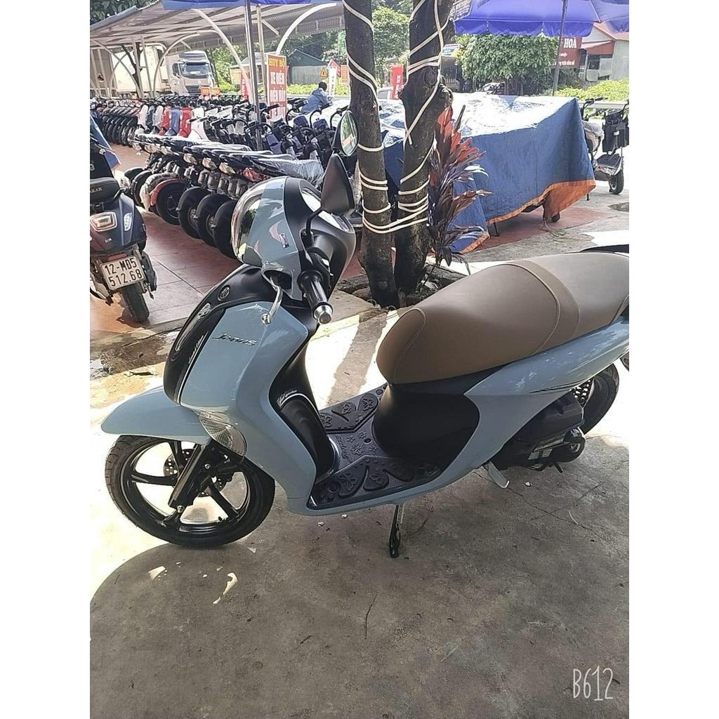 THẢM ĐỂ CHÂN  DÙNG CHO ĐỜI  XE JANUS 2016 - 2021 VÀ 2022 - 2024 CACBON / CROM / INOX / SU