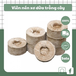 Viên nén xơ dừa Batrivina trồng cây, ươm hạt .