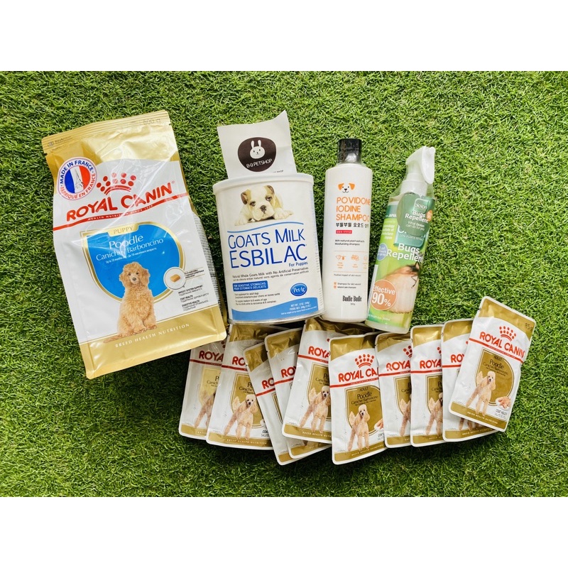 Thức Ăn Hạt Cho chó Poodle Royal Canin Poodle Puppy 1,5kg