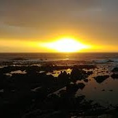 ngobin_69648
