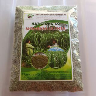 Giống cỏ Mombasa